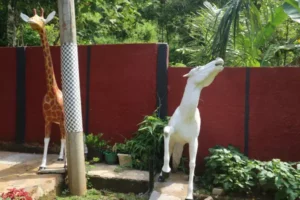 panti pendosa - galeri (28)